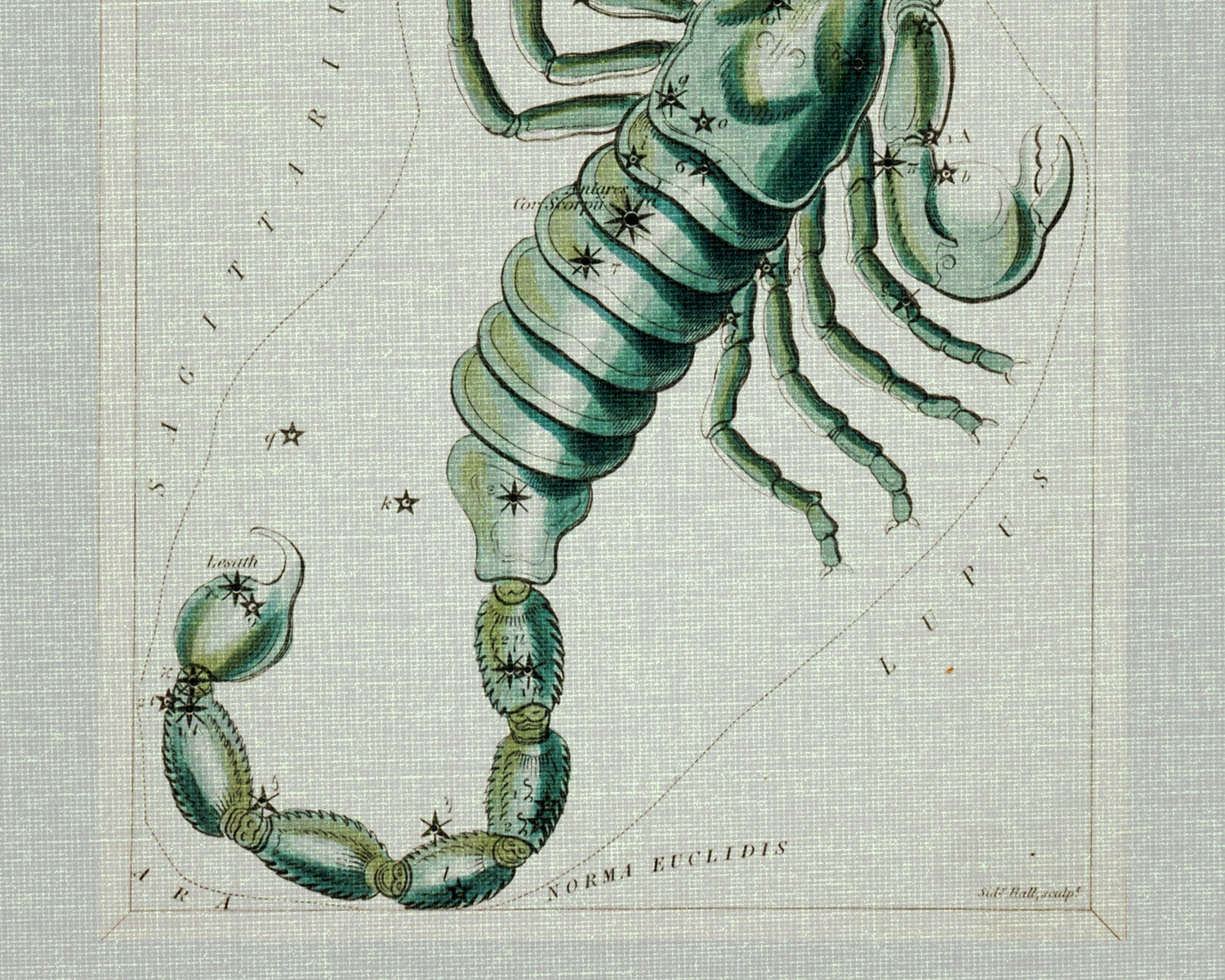 Scorpio digital astrology art