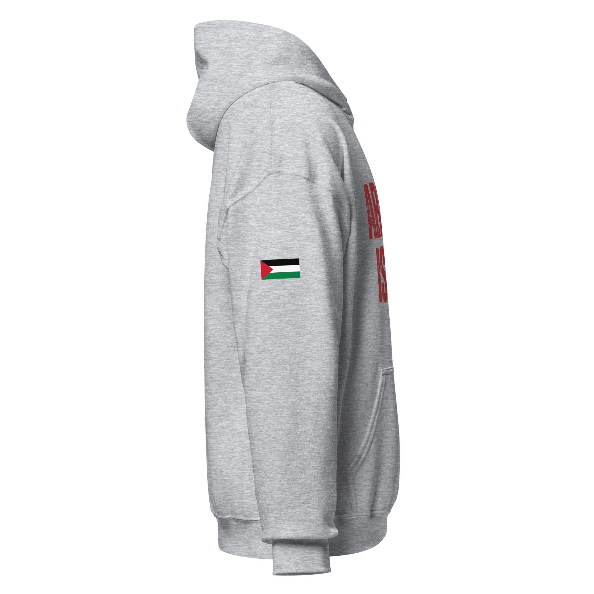 Abolish Israel Hoodie